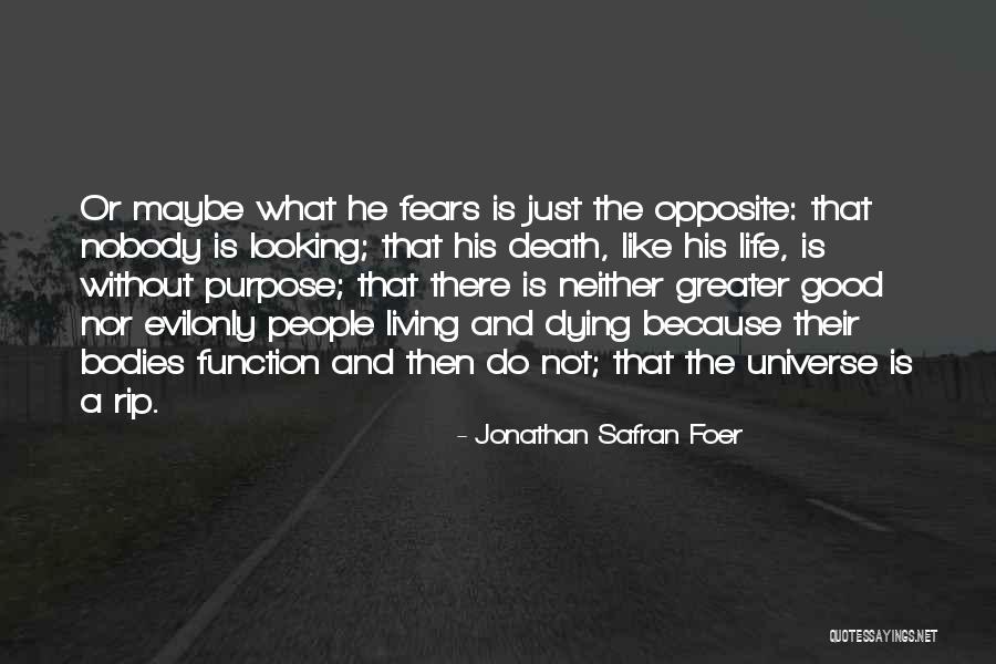 Just Living Life Quotes By Jonathan Safran Foer