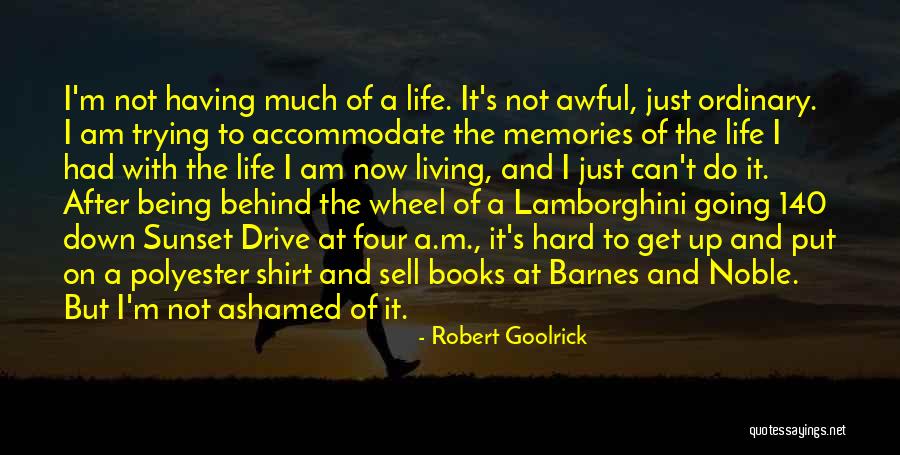 Just Living Life Quotes By Robert Goolrick