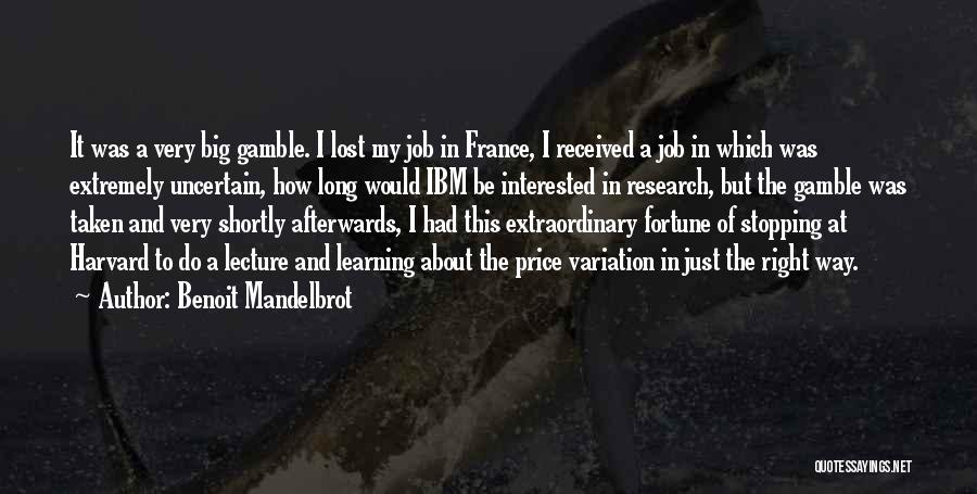 Just Lost My Job Quotes By Benoit Mandelbrot