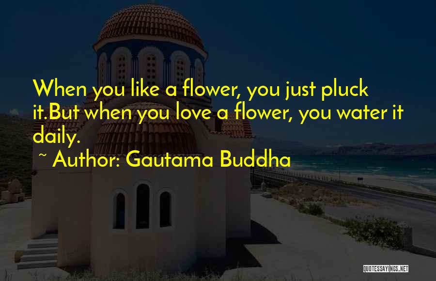 Just Love You Quotes By Gautama Buddha