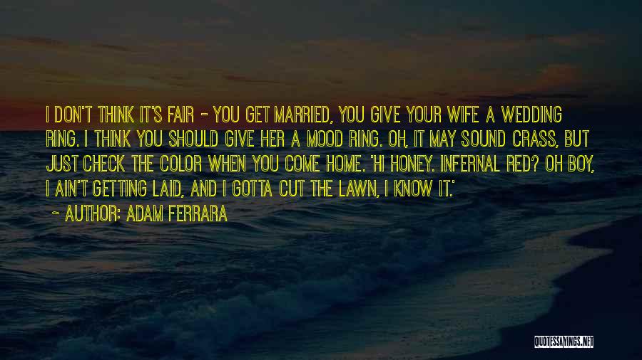 Just Married Wedding Quotes By Adam Ferrara