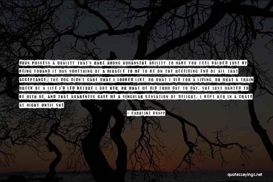 Just Me And My Dog Quotes By Caroline Knapp Just Me And My Dog Quotes By Caroline Knapp