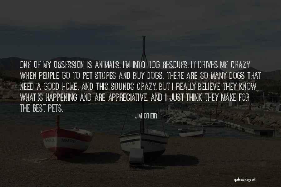 Just Me And My Dog Quotes By Jim O'Heir Just Me And My Dog Quotes By Jim O'Heir