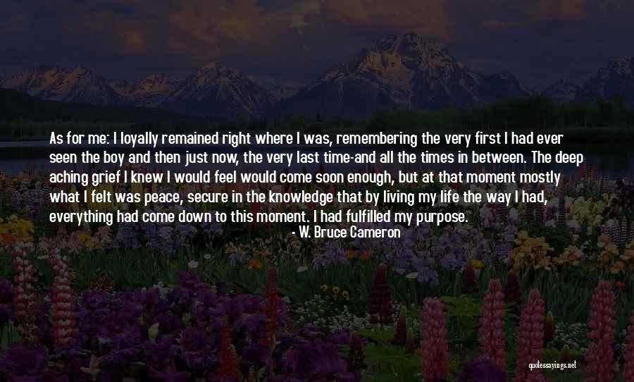 Just Me And My Dog Quotes By W. Bruce Cameron Just Me And My Dog Quotes By W. Bruce Cameron