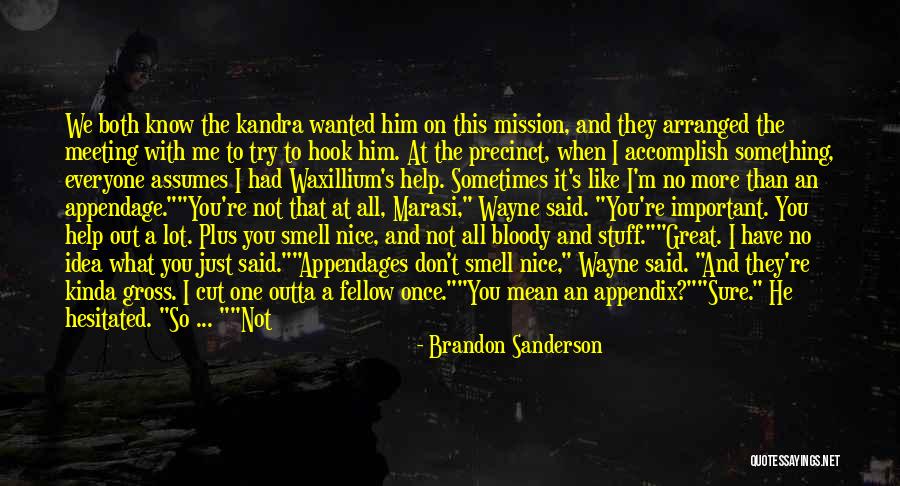 Just Meeting Quotes By Brandon Sanderson