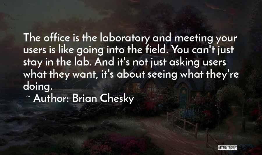 Just Meeting Quotes By Brian Chesky