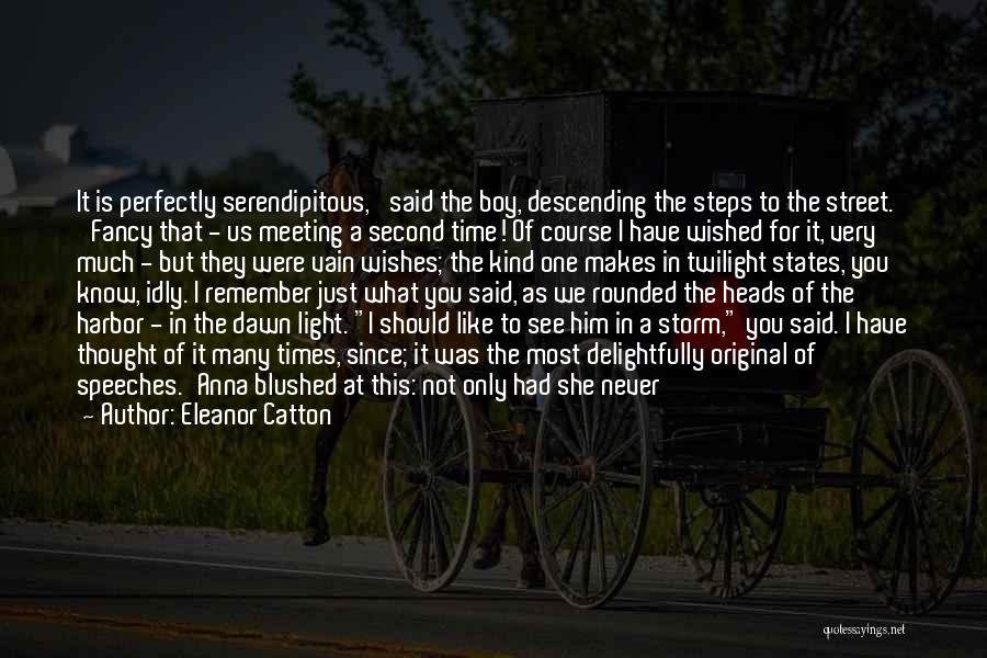 Just Meeting Quotes By Eleanor Catton