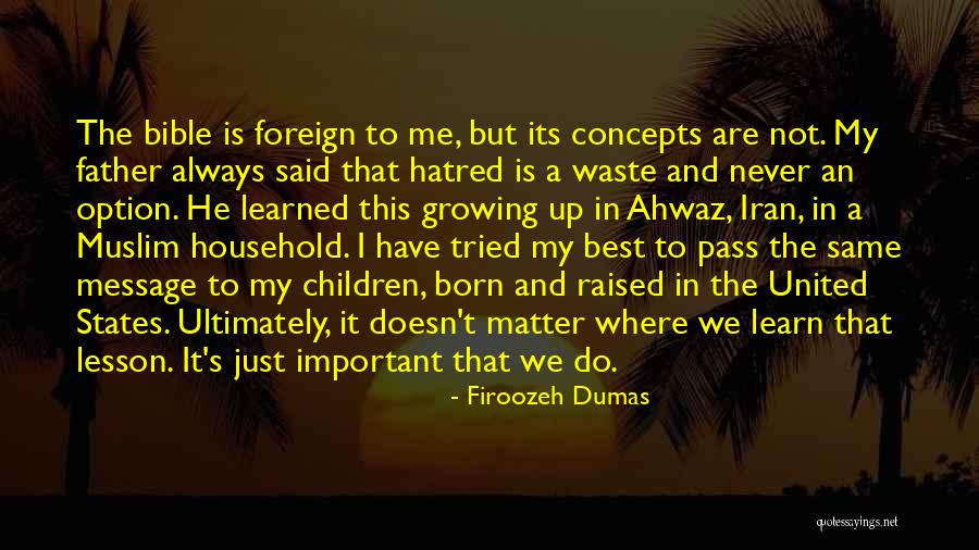 Just Message Me Quotes By Firoozeh Dumas Just Message Me Quotes By Firoozeh Dumas