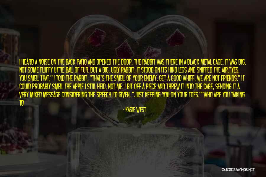 Just Message Me Quotes By Kasie West Just Message Me Quotes By Kasie West