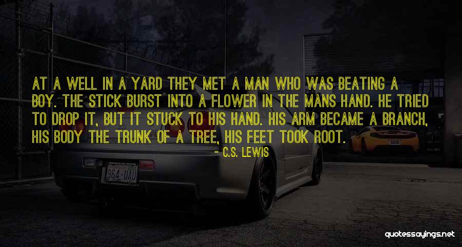 Just Met A Boy Quotes By C.S. Lewis