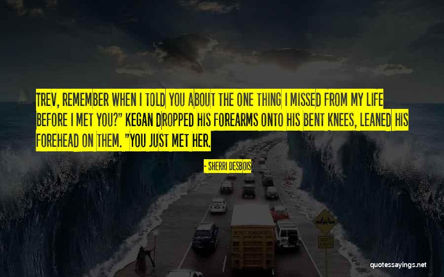 Just Missed You Quotes By Sherri Desbois