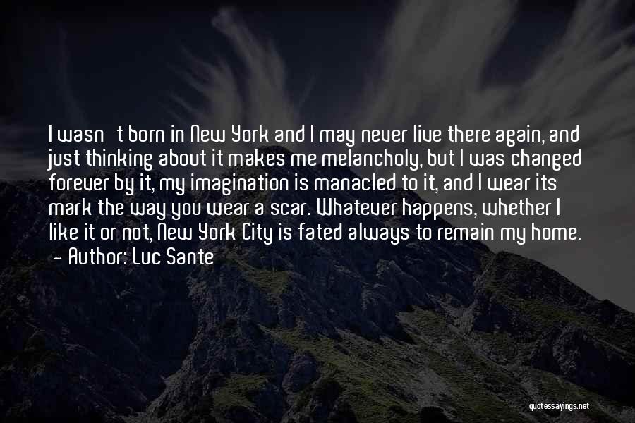 Just My Imagination Quotes By Luc Sante