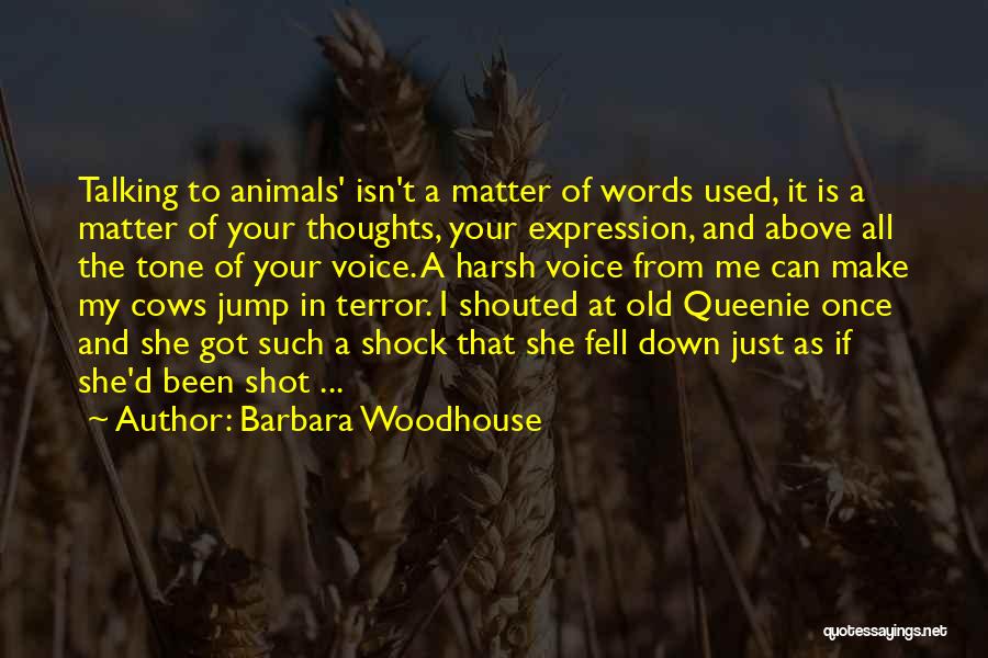 Just My Thoughts Quotes By Barbara Woodhouse