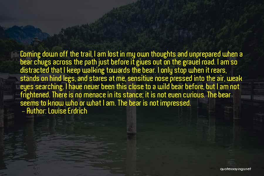Just My Thoughts Quotes By Louise Erdrich