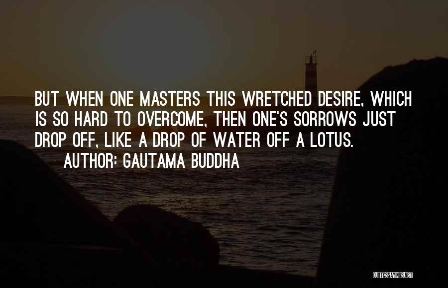 Just One Drop Quotes By Gautama Buddha