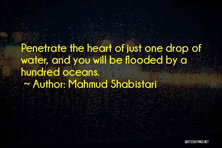Just One Drop Quotes By Mahmud Shabistari