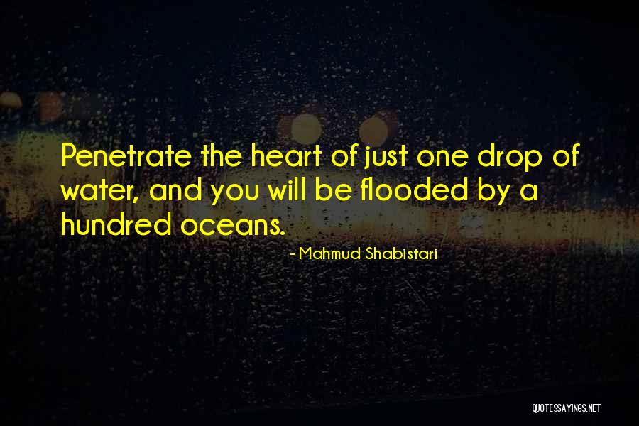 Just One Drop Quotes By Mahmud Shabistari