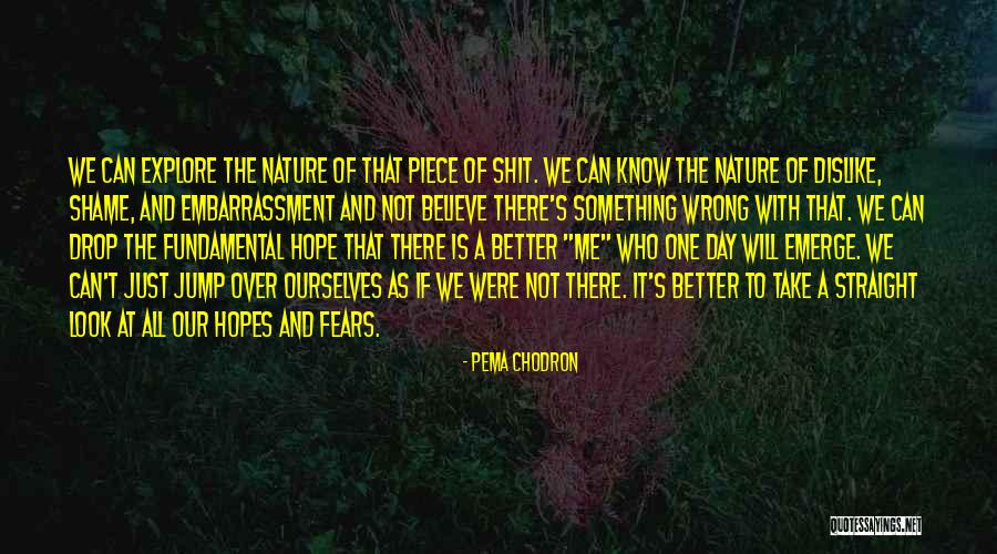 Just One Drop Quotes By Pema Chodron