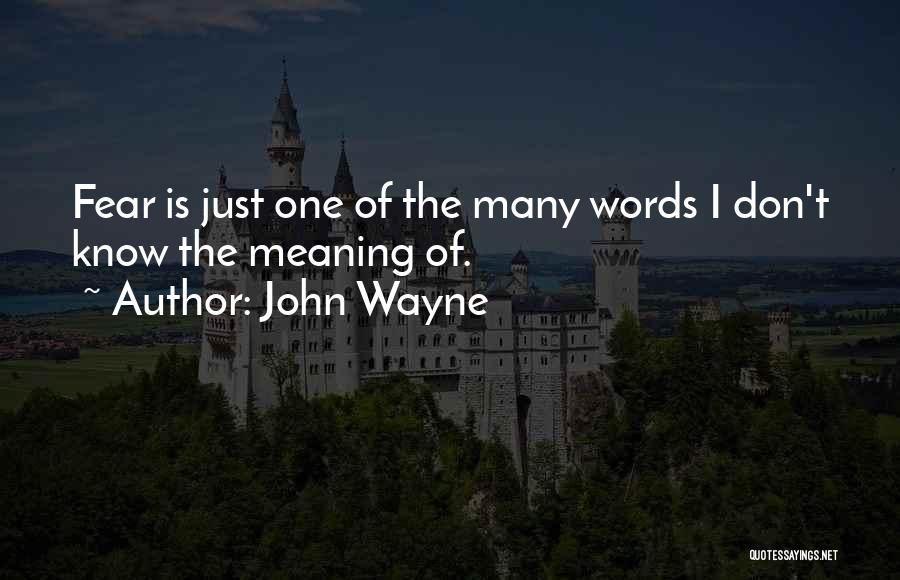 Just One Of Many Quotes By John Wayne