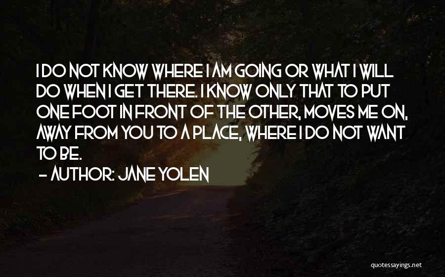 Just Put One Foot In Front Of The Other Quotes By Jane Yolen