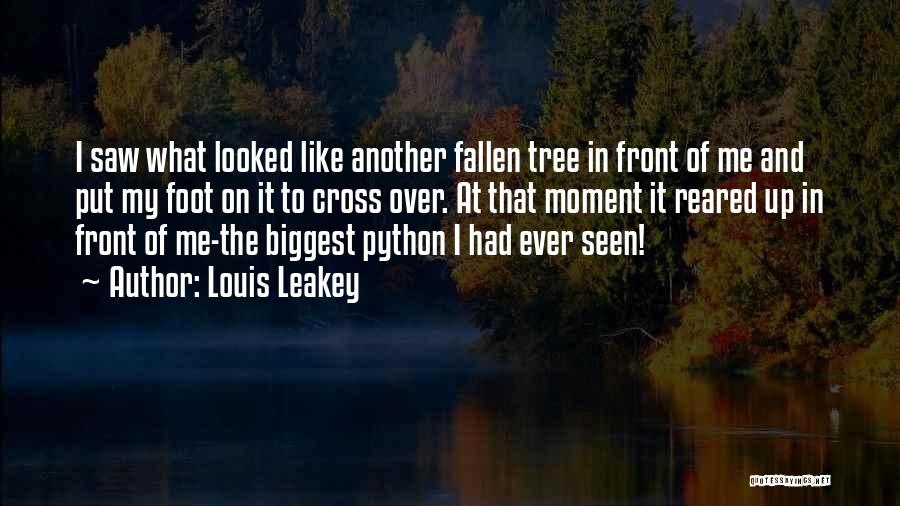 Just Put One Foot In Front Of The Other Quotes By Louis Leakey