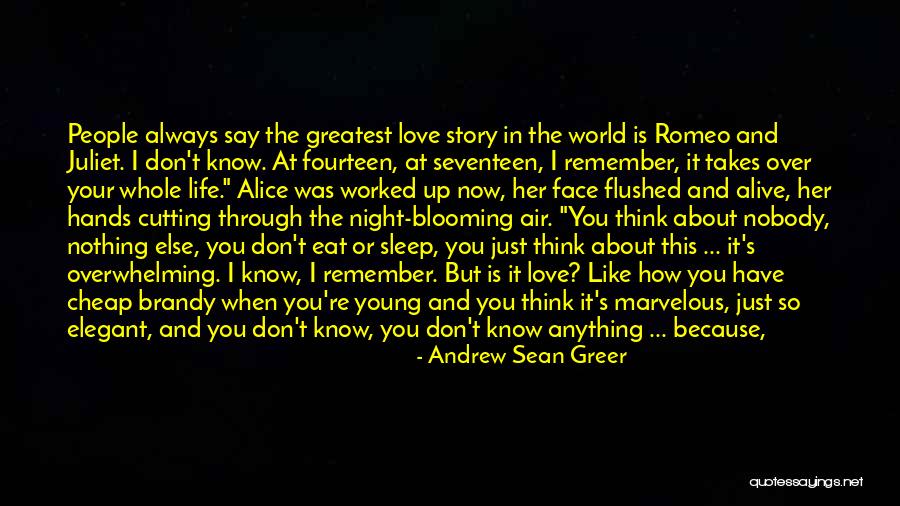 Just Remember I Love You Quotes By Andrew Sean Greer Just Remember I Love You Quotes By Andrew Sean Greer