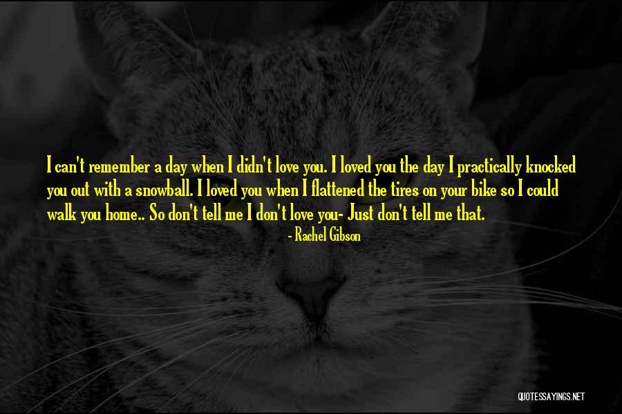Just Remember I Love You Quotes By Rachel Gibson Just Remember I Love You Quotes By Rachel Gibson