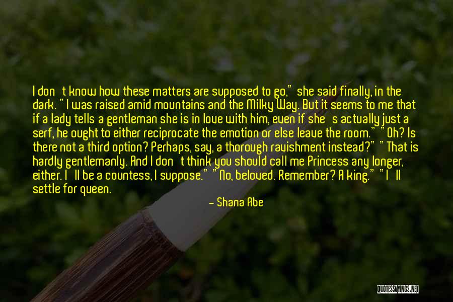 Just Remember I Love You Quotes By Shana Abe Just Remember I Love You Quotes By Shana Abe