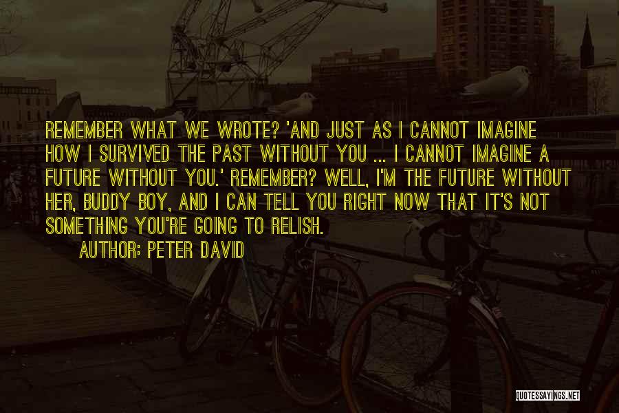 Just Remember That Quotes By Peter David