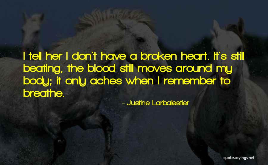 Just Remember To Breathe Quotes By Justine Larbalestier