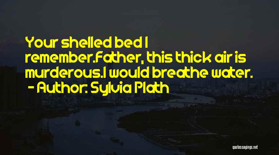 Just Remember To Breathe Quotes By Sylvia Plath