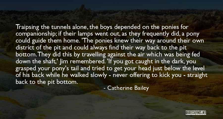 Just Remembered You Quotes By Catherine Bailey