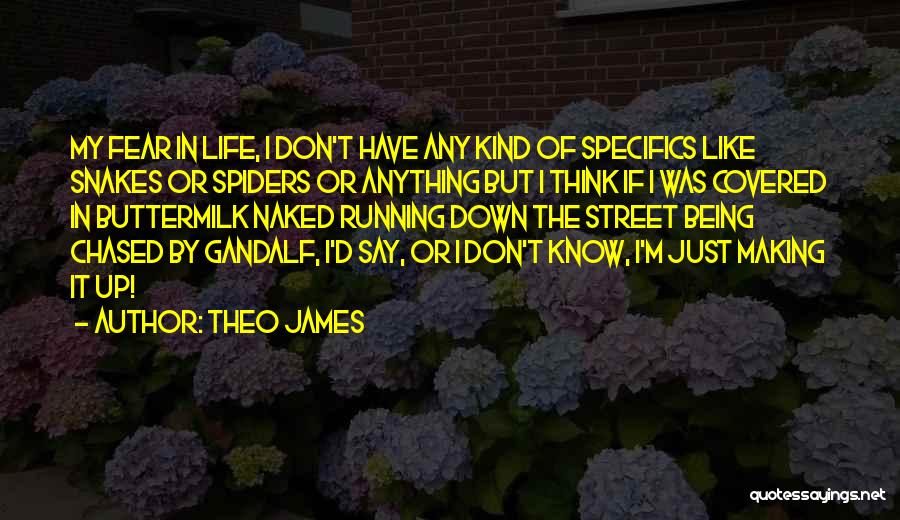 Just Say Anything Quotes By Theo James