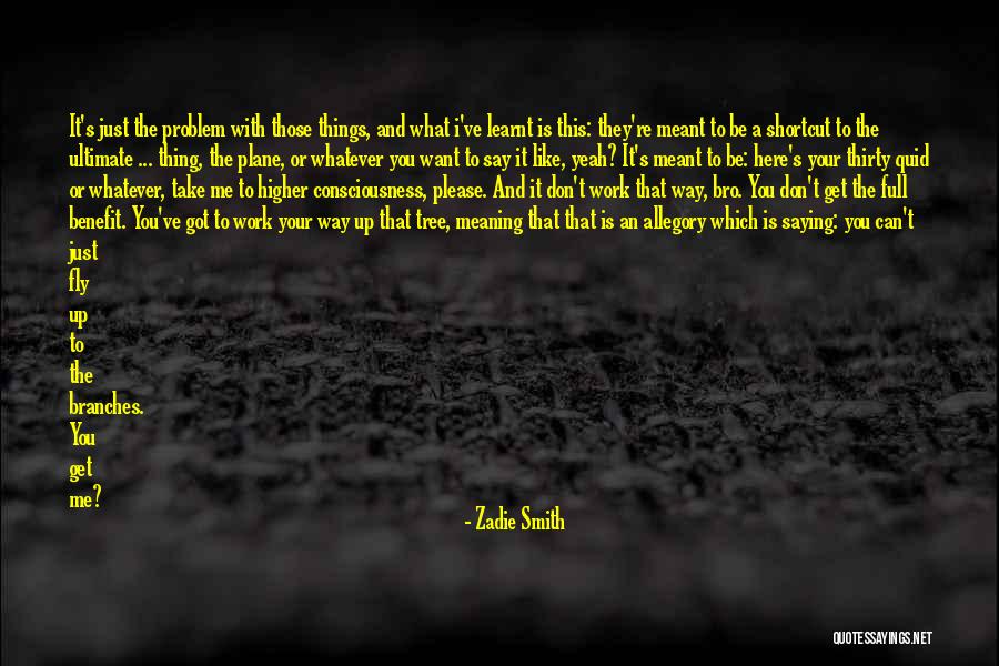 Just Say What You Want Quotes By Zadie Smith Just Say What You Want Quotes By Zadie Smith
