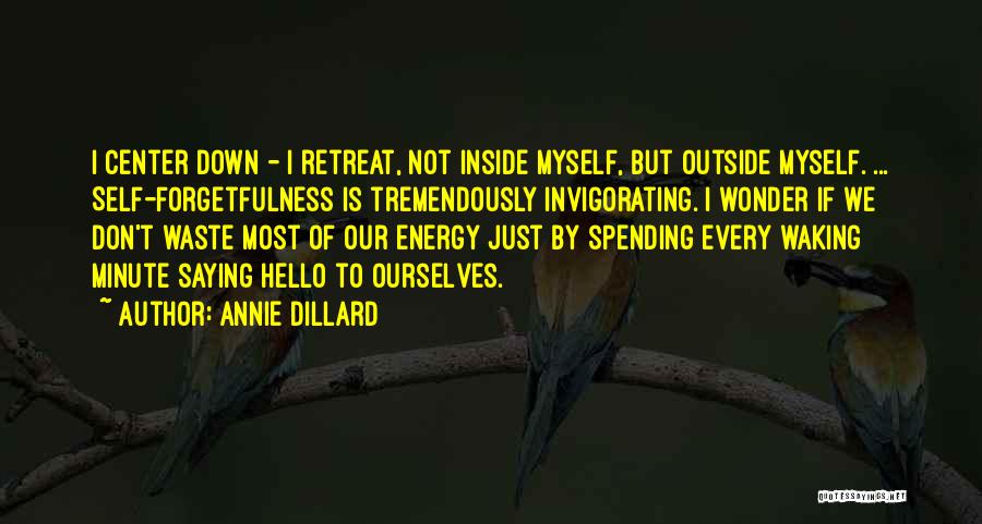 Just Saying Hello Quotes By Annie Dillard
