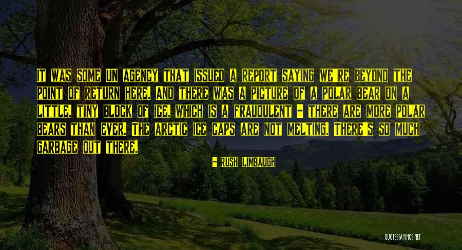 Just Saying Hi Quotes By Rush Limbaugh Just Saying Hi Quotes By Rush Limbaugh