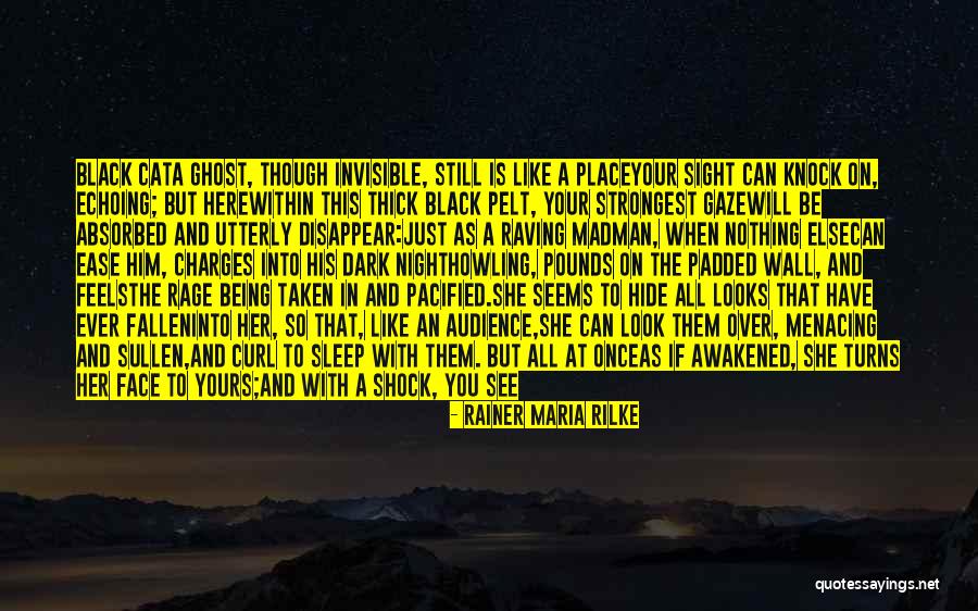 Just Sleep Quotes By Rainer Maria Rilke Just Sleep Quotes By Rainer Maria Rilke