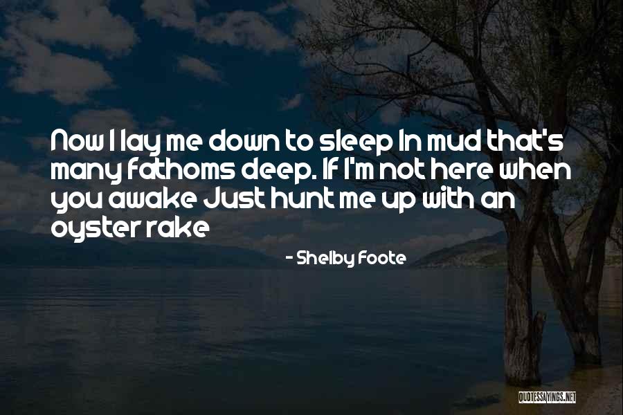 Just Sleep Quotes By Shelby Foote Just Sleep Quotes By Shelby Foote