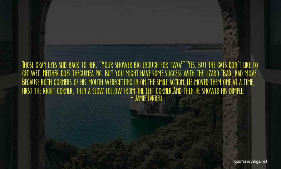 Just Smile And Move On Quotes By Jamie Farrell Just Smile And Move On Quotes By Jamie Farrell