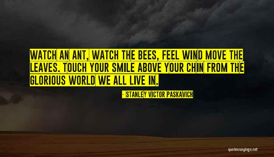 Just Smile And Move On Quotes By Stanley Victor Paskavich Just Smile And Move On Quotes By Stanley Victor Paskavich
