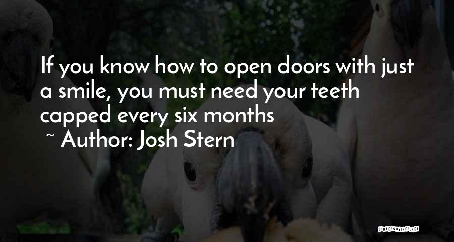 Just Smile Funny Quotes By Josh Stern