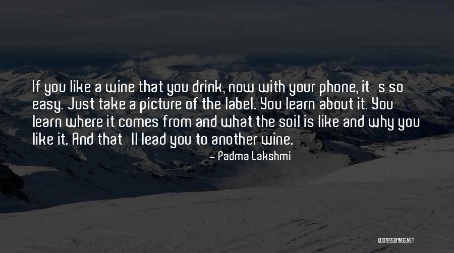 Just Take A Picture Quotes By Padma Lakshmi