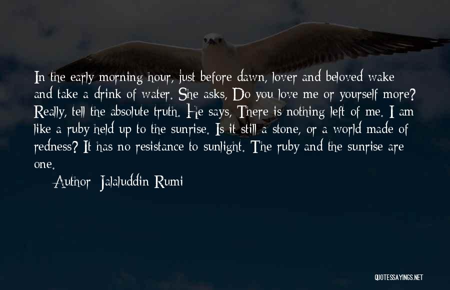 Just Tell Me The Truth Quotes By Jalaluddin Rumi