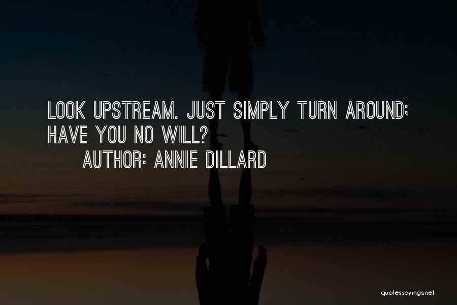 Just Turn Around Quotes By Annie Dillard