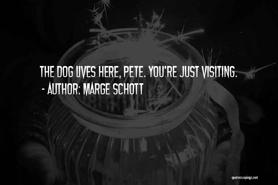 Just Visiting Quotes By Marge Schott