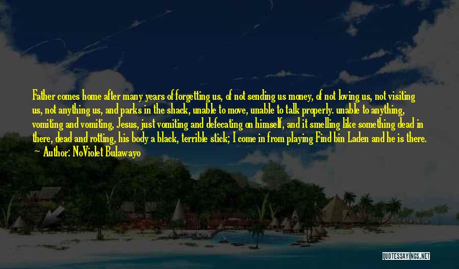 Just Visiting Quotes By NoViolet Bulawayo Just Visiting Quotes By NoViolet Bulawayo
