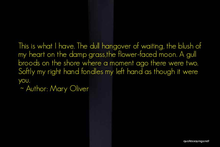 Just Waiting For The Right One Quotes By Mary Oliver