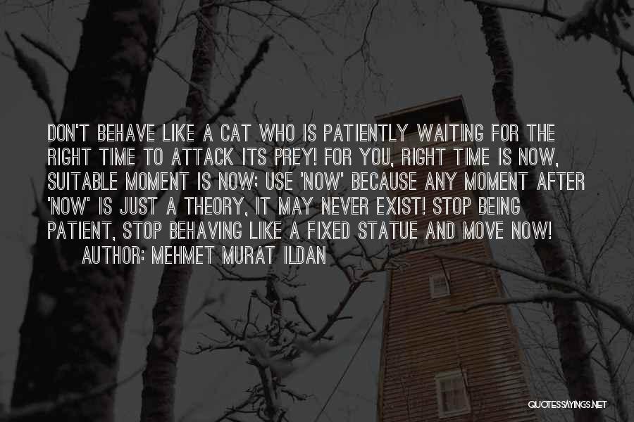 Just Waiting For The Right Time Quotes By Mehmet Murat Ildan