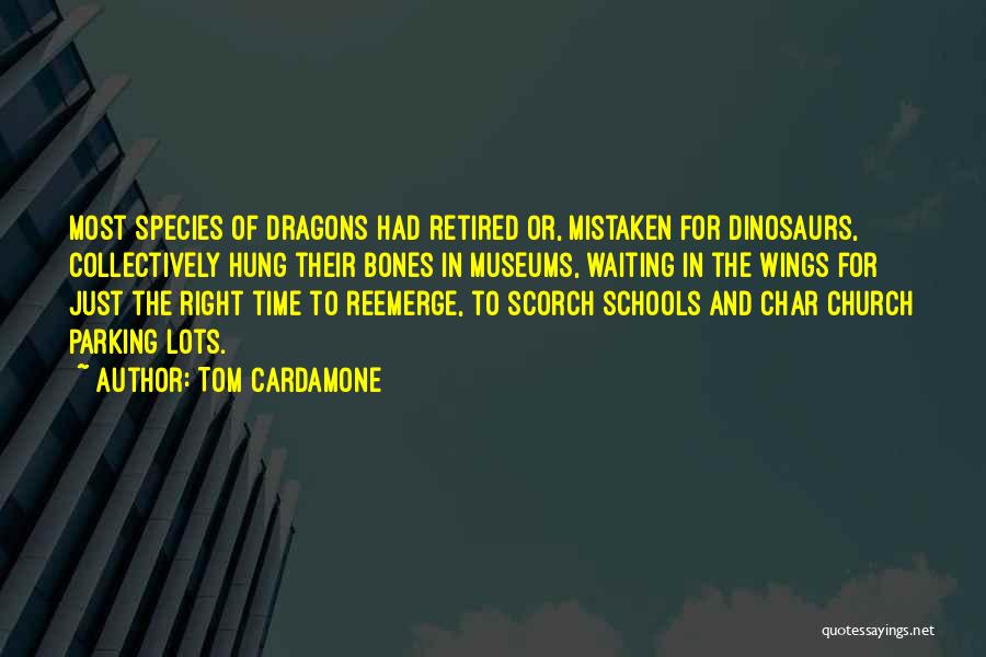 Just Waiting For The Right Time Quotes By Tom Cardamone