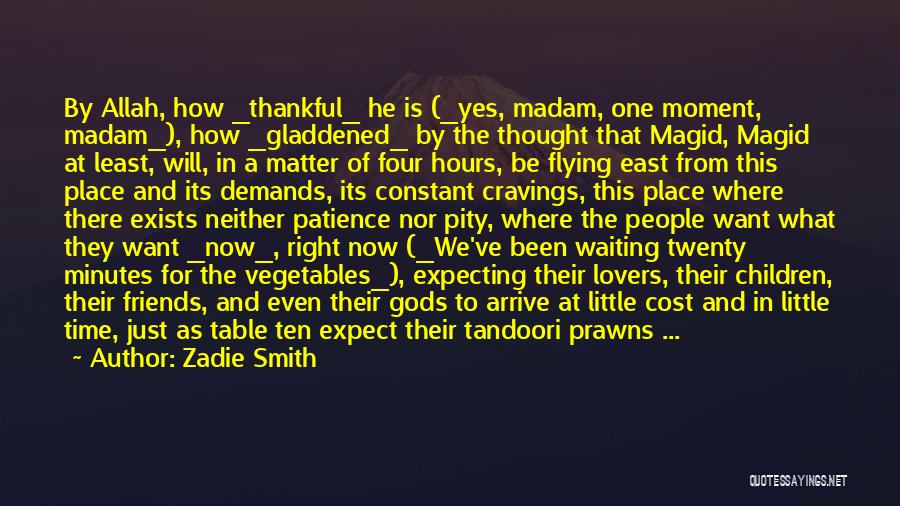 Just Waiting For The Right Time Quotes By Zadie Smith